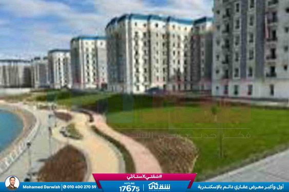 WhatsApp Image 2025-12-25 at 15.18.39 (2)