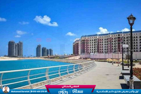 WhatsApp Image 2025-12-25 at 15.18.39