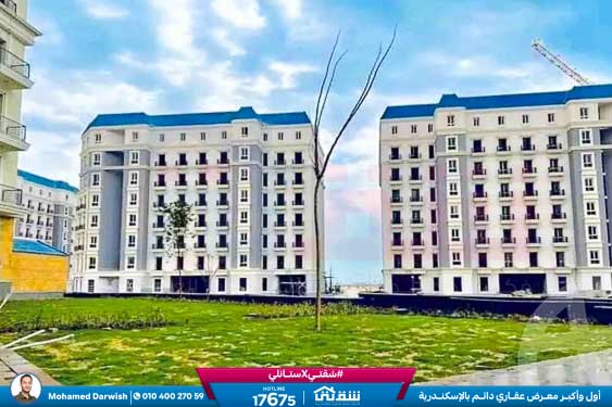 WhatsApp Image 2025-12-25 at 15.18.40