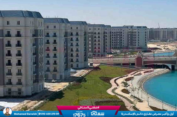 WhatsApp Image 2025-12-25 at 15.18.43