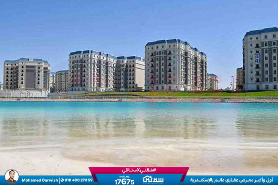 WhatsApp Image 2025-12-25 at 15.18.45