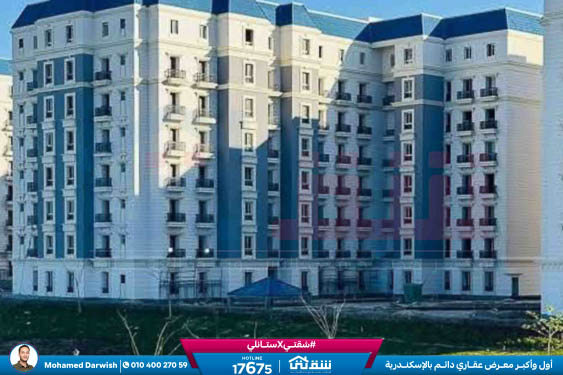 WhatsApp Image 2025-12-25 at 15.18.46