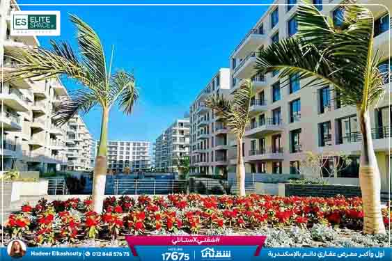 WhatsApp Image 2026-01-14 at 4.46.50 PM