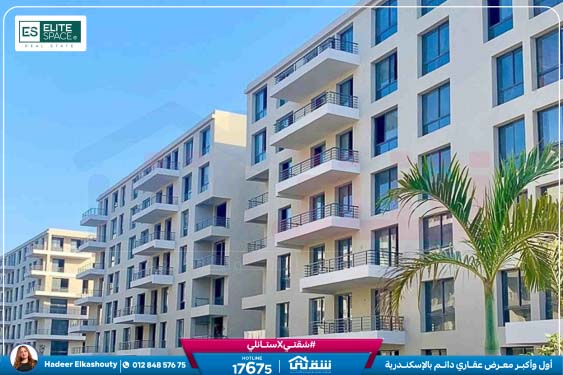 WhatsApp Image 2026-01-14 at 4.46.52 PM