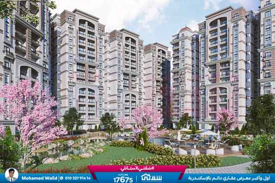 WhatsApp Image 2026-01-18 at 11.59.16 AM