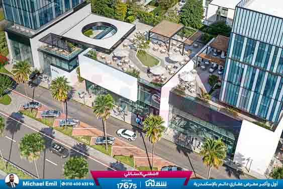 WhatsApp Image 2026-01-31 at 11.30.37 AM