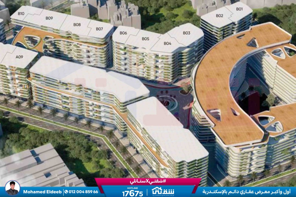 WhatsApp Image 2026-01-31 at 3.10.55 PM