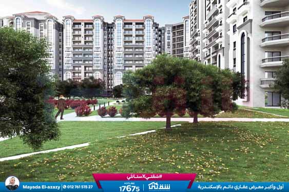 WhatsApp Image 2026-02-04 at 5.09.34 PM (1)