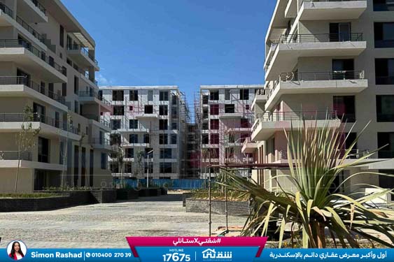 WhatsApp Image 2026-02-11 at 4.02.07 PM (1)