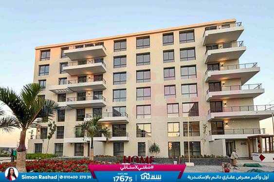 WhatsApp Image 2026-02-11 at 4.02.11 PM