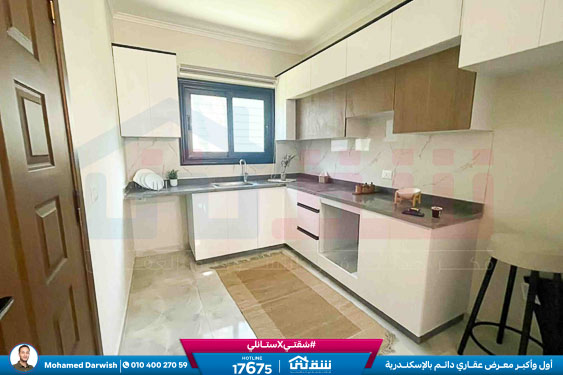 WhatsApp Image 2026-02-12 at 4.38.36 PM (1)