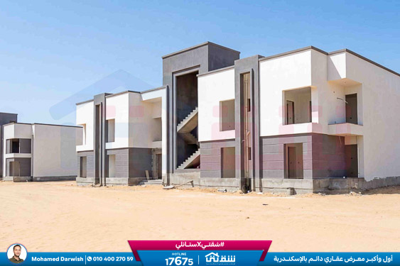 WhatsApp Image 2026-02-12 at 4.38.42 PM