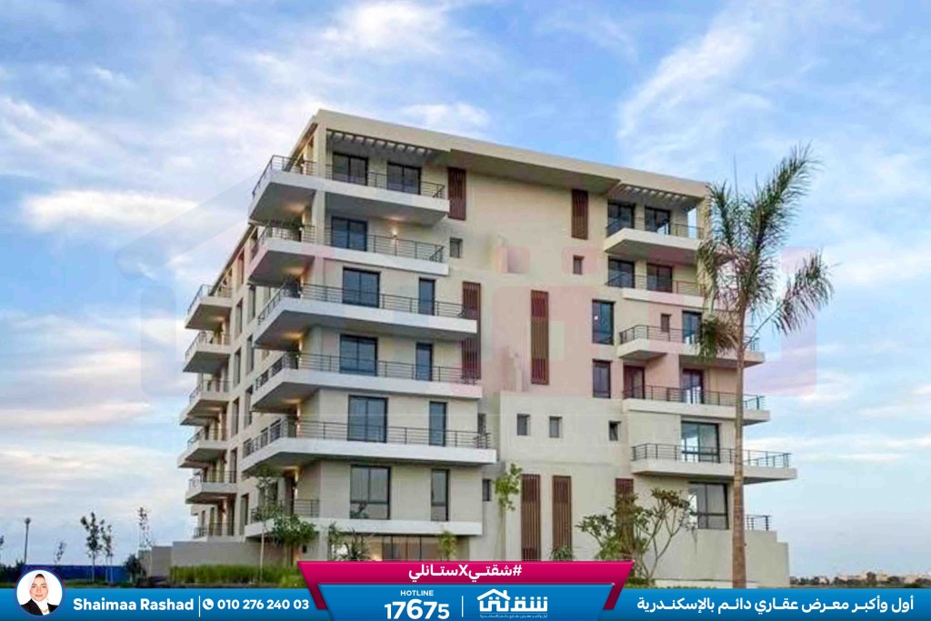 WhatsApp Image 2026-02-24 at 1.58.15 PM (1)