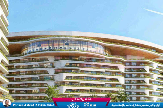 WhatsApp Image 2026-02-25 at 2.20.16 PM