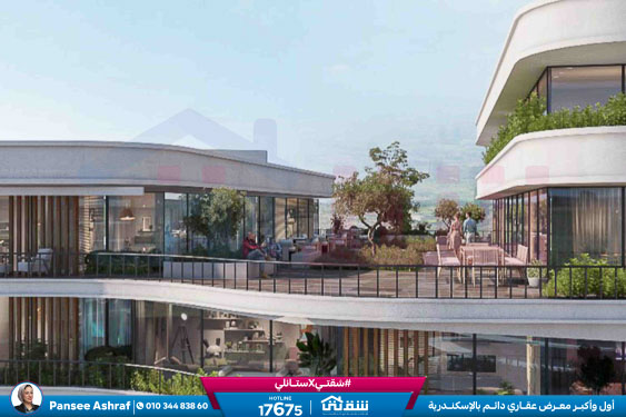 WhatsApp Image 2026-02-25 at 2.20.17 PM