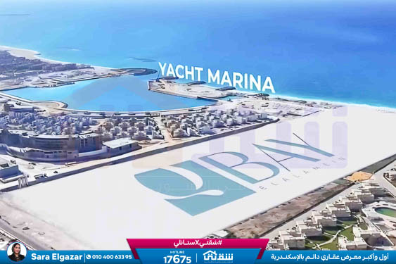 WhatsApp Image 2026-02-28 at 2.11.25 PM (1)