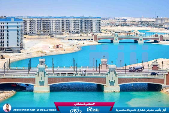 WhatsApp Image 2026-03-02 at 12.19.57 PM