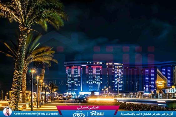 WhatsApp Image 2026-03-02 at 12.19.59 PM (1)