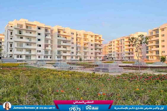 WhatsApp Image 2026-03-07 at 3.18.25 PM (2)