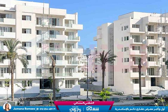 WhatsApp Image 2026-03-07 at 3.18.25 PM