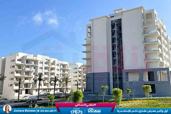 WhatsApp Image 2026-03-07 at 3.18.26 PM (1)