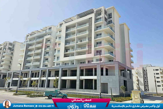 WhatsApp Image 2026-03-07 at 3.18.26 PM (2)