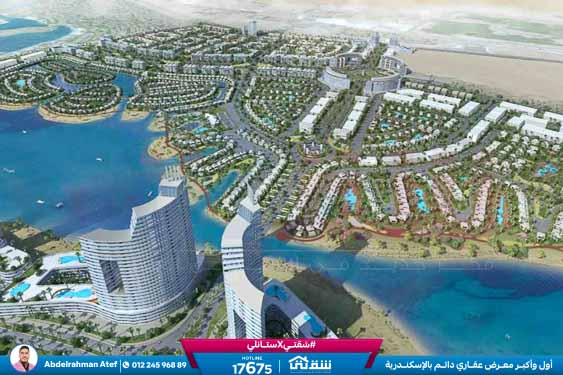 WhatsApp Image 2026-03-08 at 12.57.24 AM