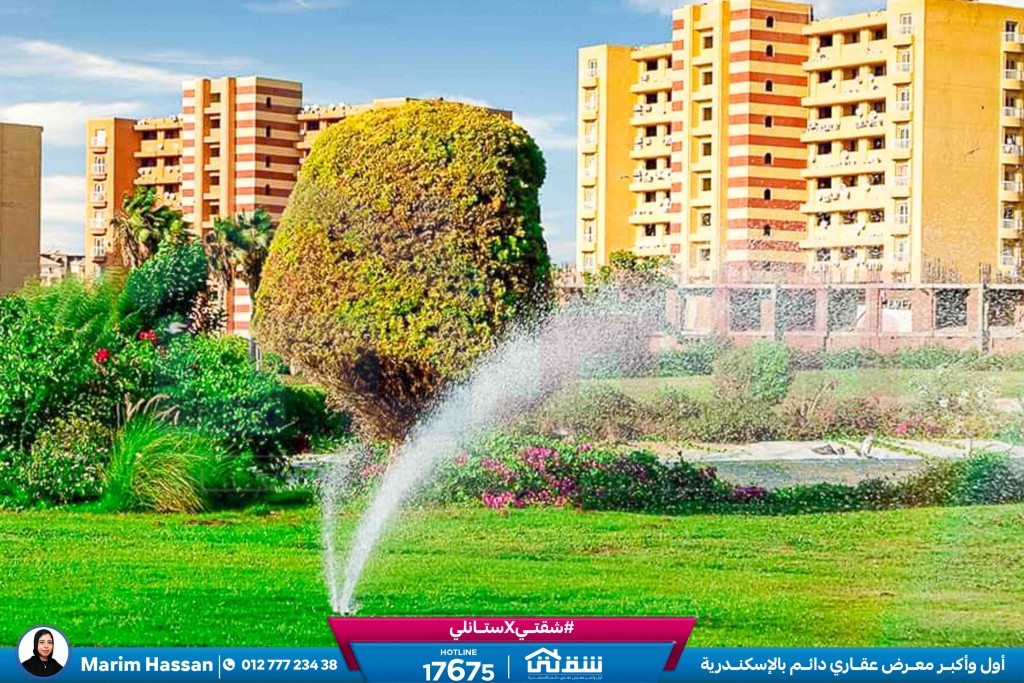 WhatsApp Image 2026-03-17 at 1.07.46 PM