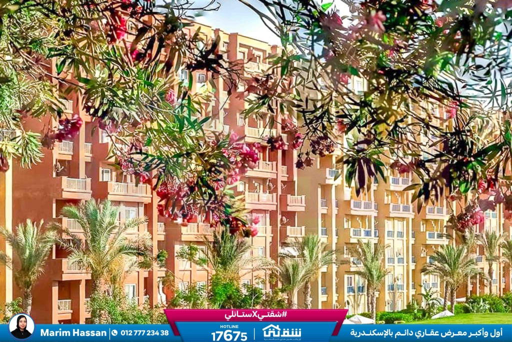 WhatsApp Image 2026-03-17 at 1.07.48 PM