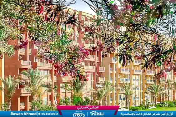 WhatsApp Image 2026-03-17 at 1.07.48 PM