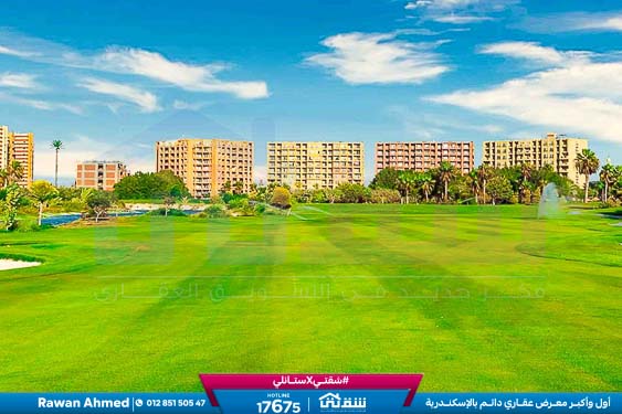 WhatsApp Image 2026-03-17 at 1.07.49 PM