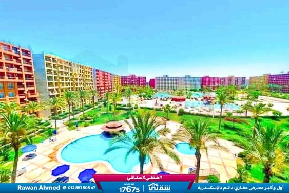 WhatsApp Image 2026-03-17 at 1.07.50 PM