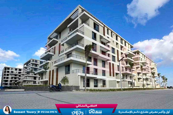 WhatsApp Image 2026-03-25 at 11.50.03 AM (1)