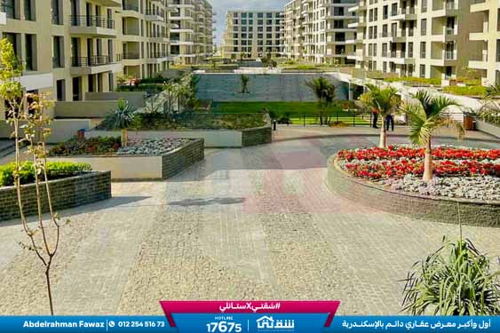 WhatsApp Image 2026-03-25 at 11.50.03 AM