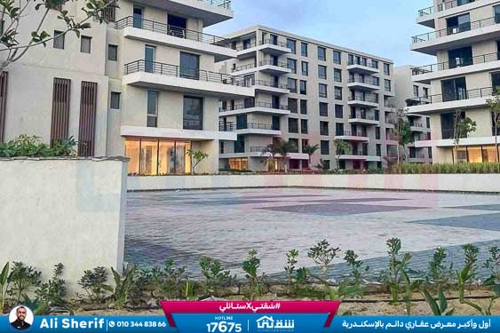 WhatsApp Image 2026-03-25 at 11.50.04 AM (1)