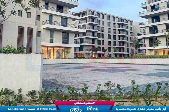 WhatsApp Image 2026-03-25 at 11.50.04 AM (1)