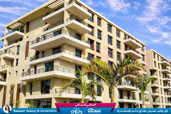 WhatsApp Image 2026-03-25 at 11.50.04 AM