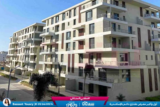 WhatsApp Image 2026-03-25 at 11.50.05 AM