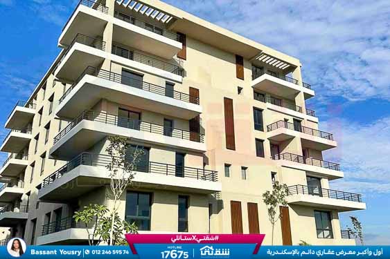 WhatsApp Image 2026-03-25 at 11.50.06 AM (1)