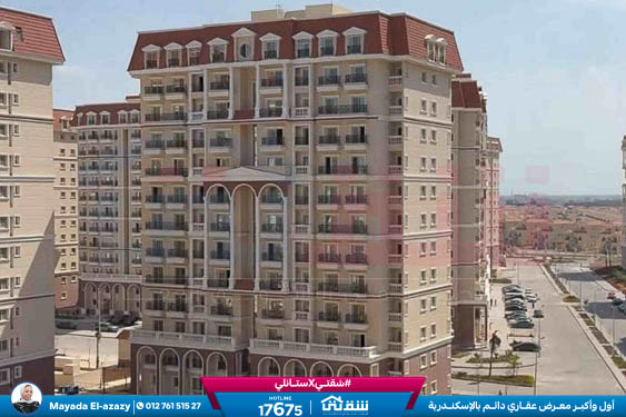 WhatsApp Image 2026-03-26 at 10.32.05 AM (3)