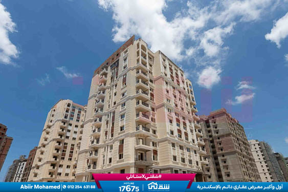 WhatsApp Image 2026-03-26 at 10.32.05 AM