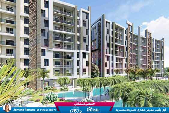 WhatsApp Image 2026-03-28 at 4.18.54 PM (1)