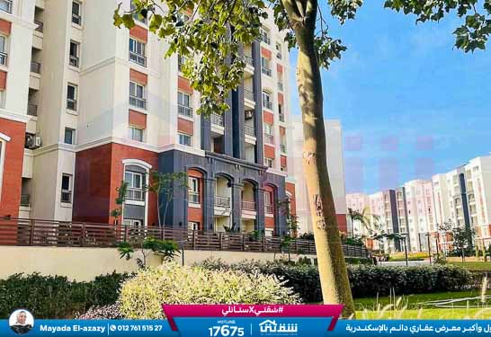 WhatsApp Image 2026-03-29 at 2.22.12 PM