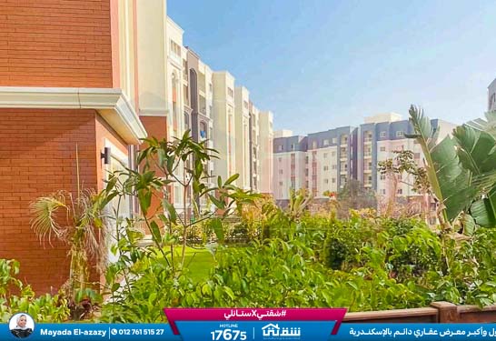 WhatsApp Image 2026-03-29 at 2.22.13 PM (1)