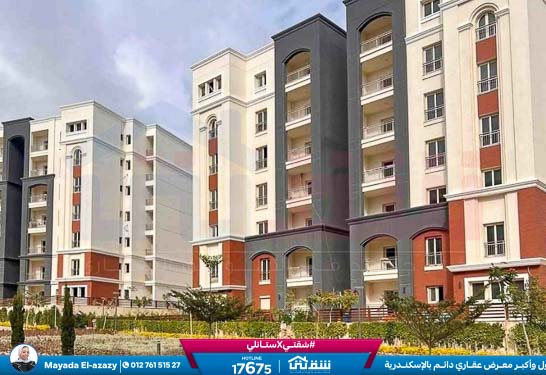 WhatsApp Image 2026-03-29 at 2.22.13 PM (2)