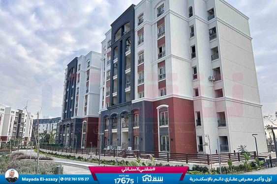 WhatsApp Image 2026-03-29 at 2.22.13 PM