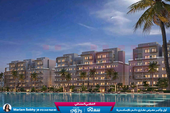 WhatsApp Image 2026-04-02 at 4.18.50 PM (1)