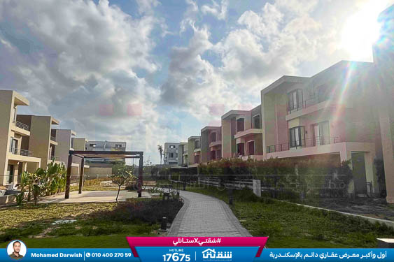 WhatsApp Image 2026-04-04 at 10.41.07 AM (1)