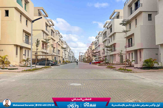 WhatsApp Image 2026-04-04 at 10.41.07 AM