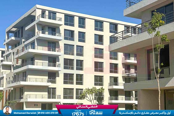 WhatsApp Image 2026-04-04 at 10.41.08 AM (1)